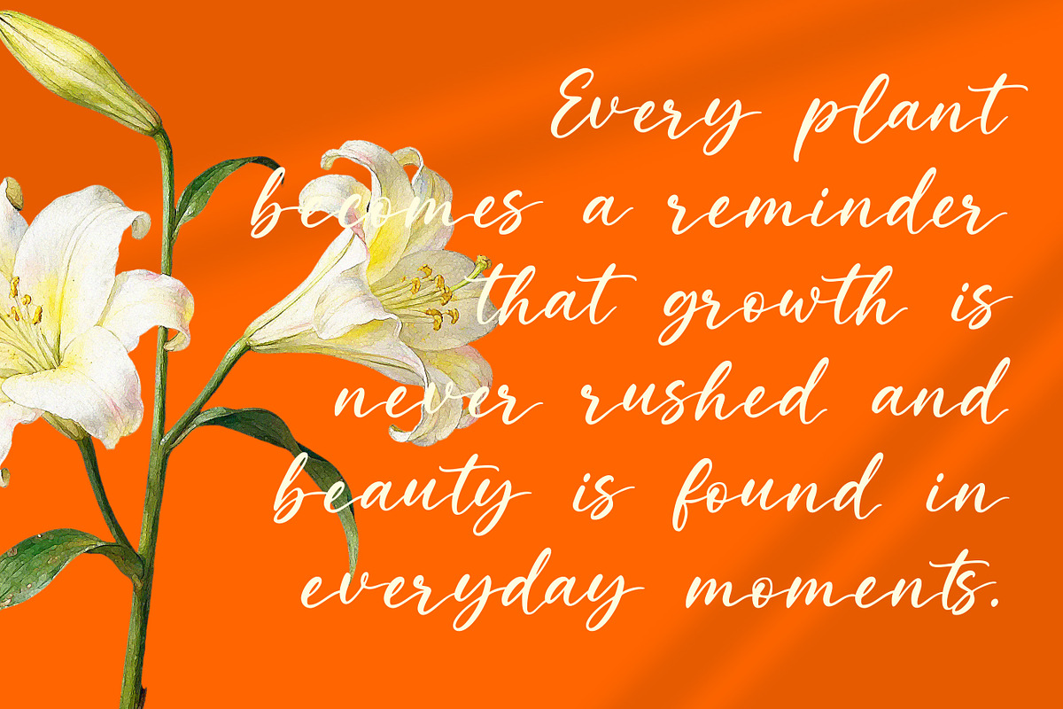 Bellorie | Modern Handwritten Font, a Handwritten Font by Typoraith Co (Photo 6 of 11)