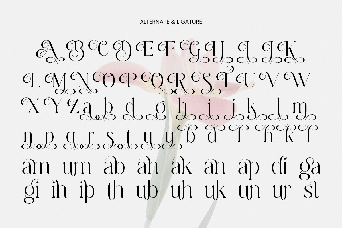 Dobagi – Elegant Modern Serif Font, a Serif Font by roomspace creative lab (Photo 3 of 12)