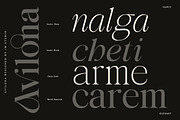 Avilona Super Family | 63 Style Font, a Serif Font by IM Studio (Thumbnail 8 of 16)