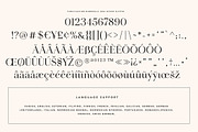 Idealist Serif, a Serif Font by Nicky Laatz (Thumbnail 34 of 34)