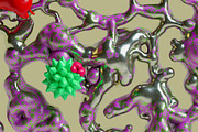 Abstract Organic 3D Shapes, a Decorative Illustration by StockVerse Creative (Thumbnail 4 of 4)