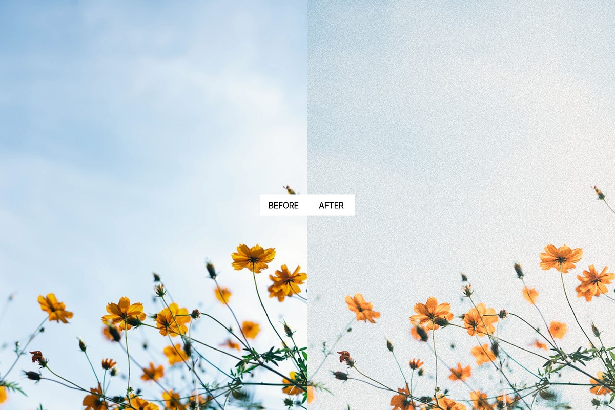 Vintage Summer Lightroom Presets, a Preset Add-On by PixaSquare (Photo 3 of 13)