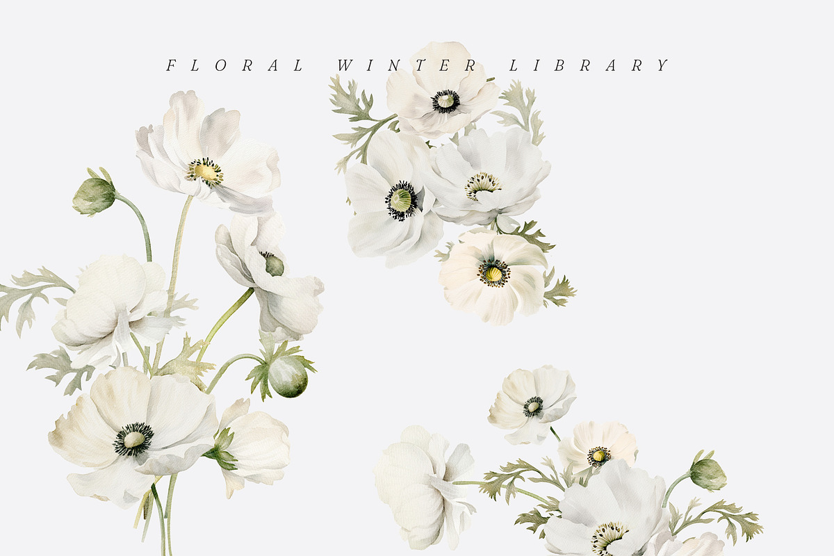 FLORAL WINTER BOX Watercolor Bundle, a Seasonal Illustration by Muse Artist (Photo 91 of 95)