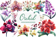 Watercolor Orchid Clipart, an Illustration by Daily.Designs (Thumbnail 1 of 5)