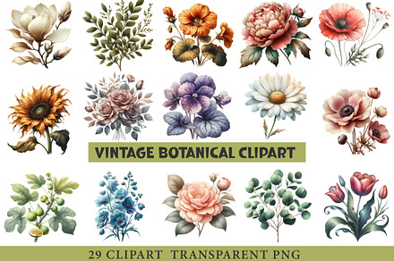 Vintage Botanical Clipart