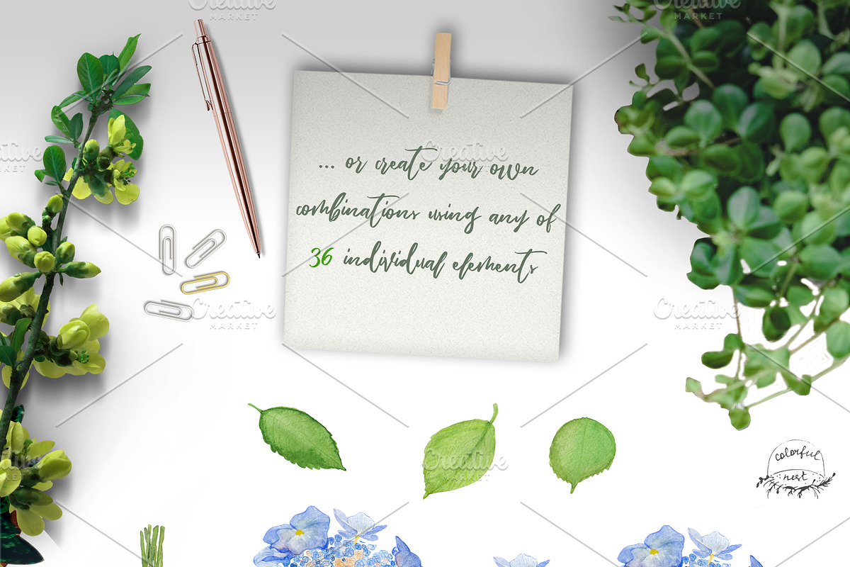 Watercolor Hydrangea Floral Clipart, an Illustration by ColorfulNest (Photo 7 of 7)