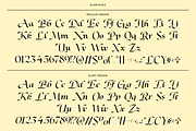 Dh Alani Rosle - 16 Branding Family, a Serif Font by Dharmas Foundry (Thumbnail 15 of 15)