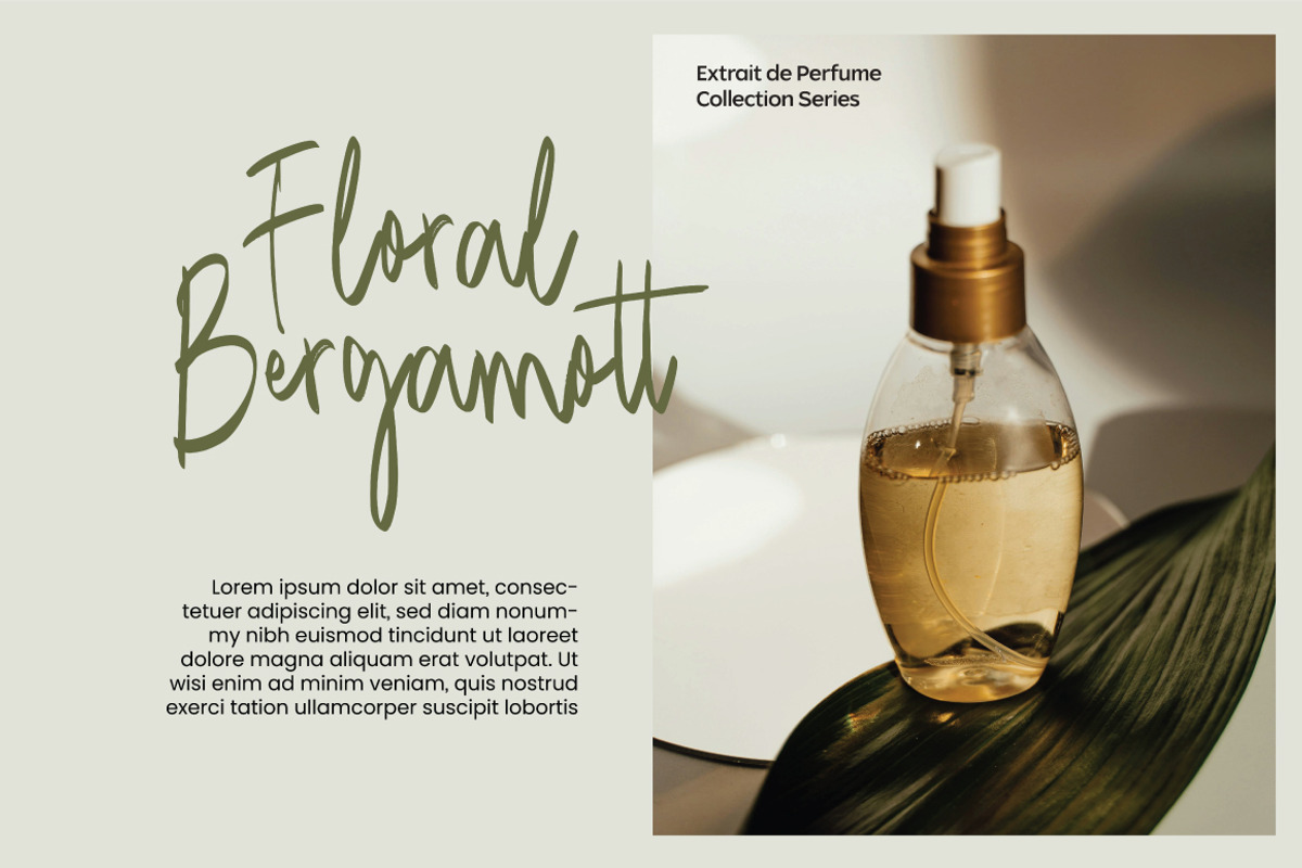 Mango Driver - Signature Brush, a Handwritten Font by tebaltipislab (Photo 7 of 10)