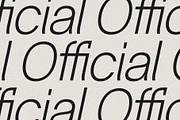 Silver Archer - An 18-Font Chic Sans, a Sans Serif Font by SilverStag Type Foundry (Thumbnail 14 of 14)