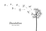 Dandelion + pattern, a Background Graphic by Volyk (Thumbnail 2 of 3)