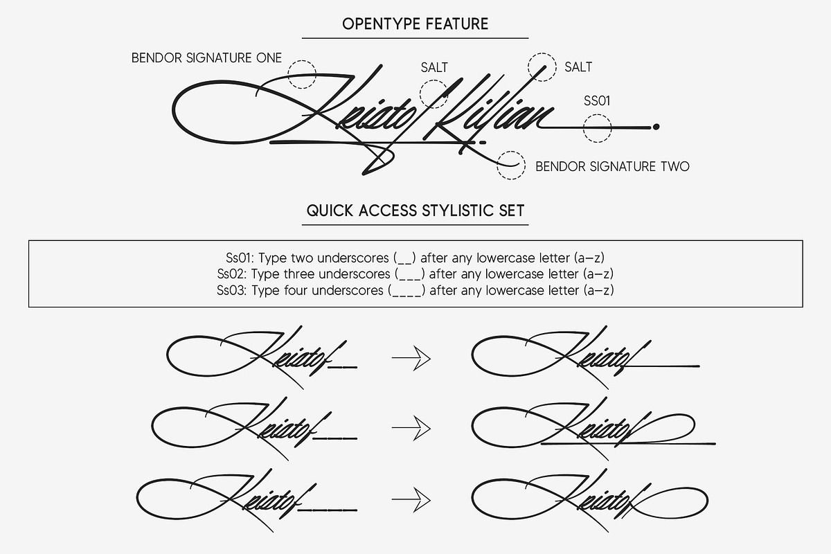 Bendor Signature, a Script Font by Lemonthe (Photo 9 of 11)