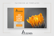 Facebook Ad Template Pack 01, a Social Media Template by pmvch (Thumbnail 10 of 10)