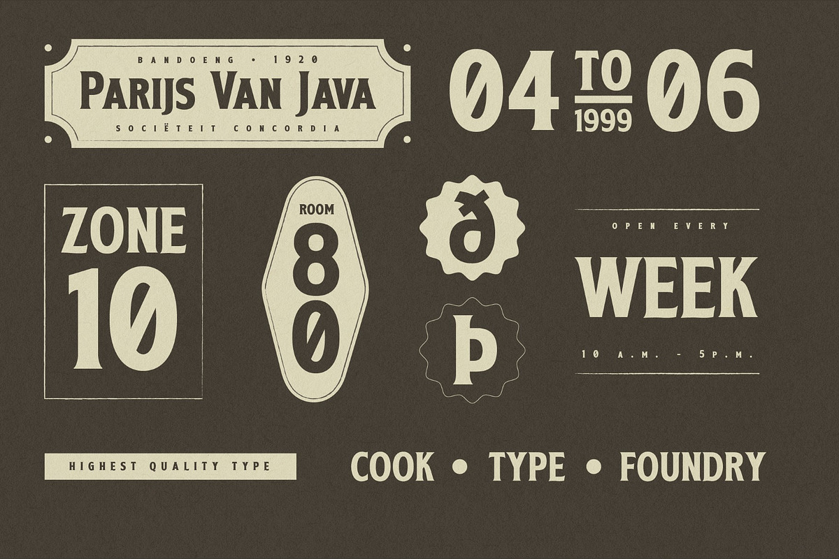 Virevont, a Serif Font by graphicook (Photo 9 of 10)