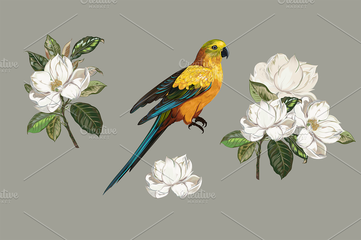 Tropical Vintage Vector Collection, an Animal Illustration by FleurArt (Photo 5 of 7)