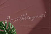 Wellyon Script signature, a Script Font by alit design (Thumbnail 11 of 15)