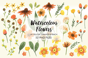 Watercolor Flower in orange set 1 
