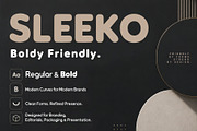 SLEEKO - Regular & Bold, a Sans Serif Font by HypeWorksCo (Thumbnail 2 of 11)