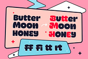 Snorbi, a Sans Serif Font by Flavortype (Thumbnail 6 of 14)