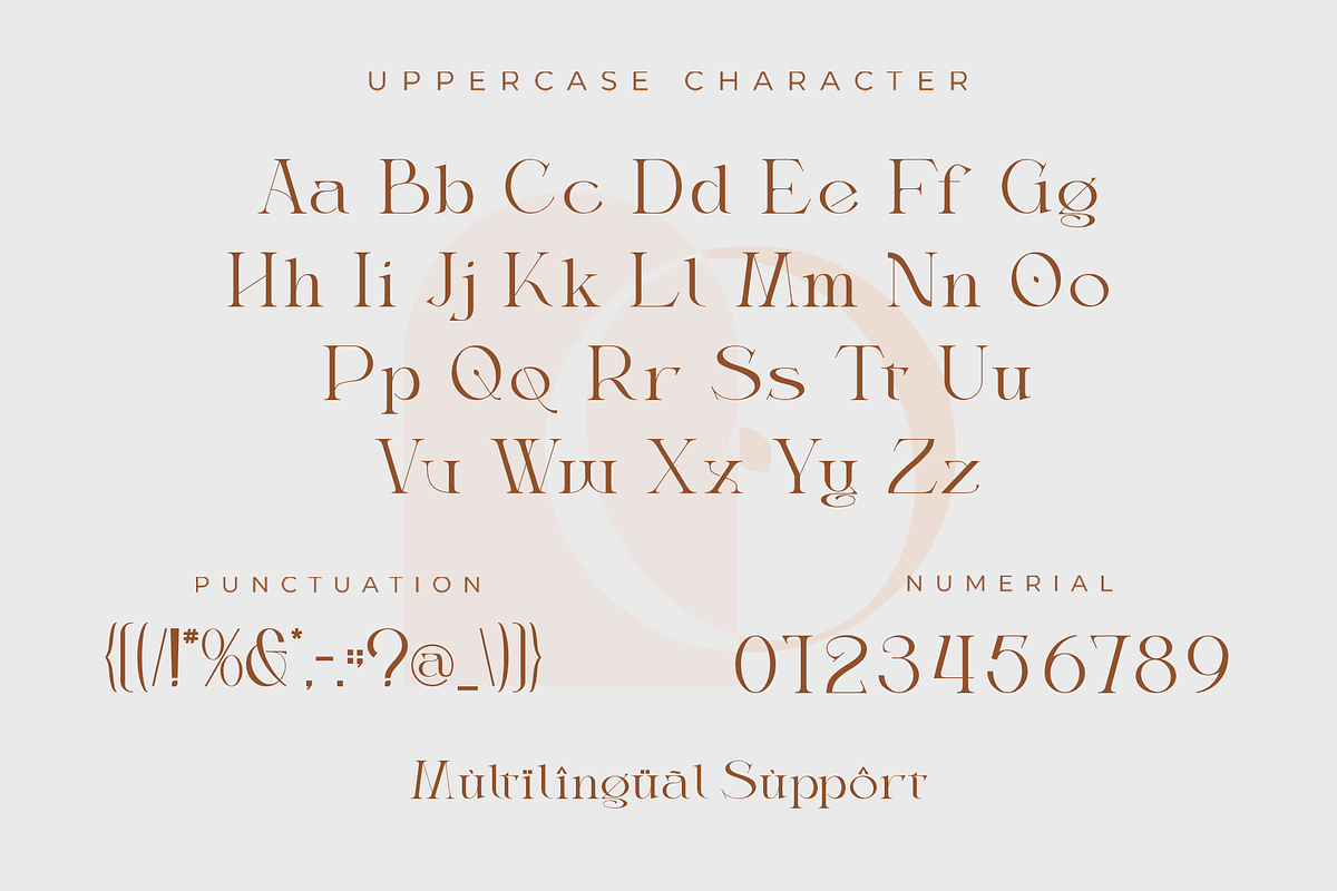 Thanjidor - Elegant Serif Typeface, a Serif Font by overlaytemplates (Photo 5 of 5)