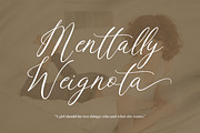 Violetta Frosteil, a Script Font by Goresan Studio (Thumbnail 3 of 15)