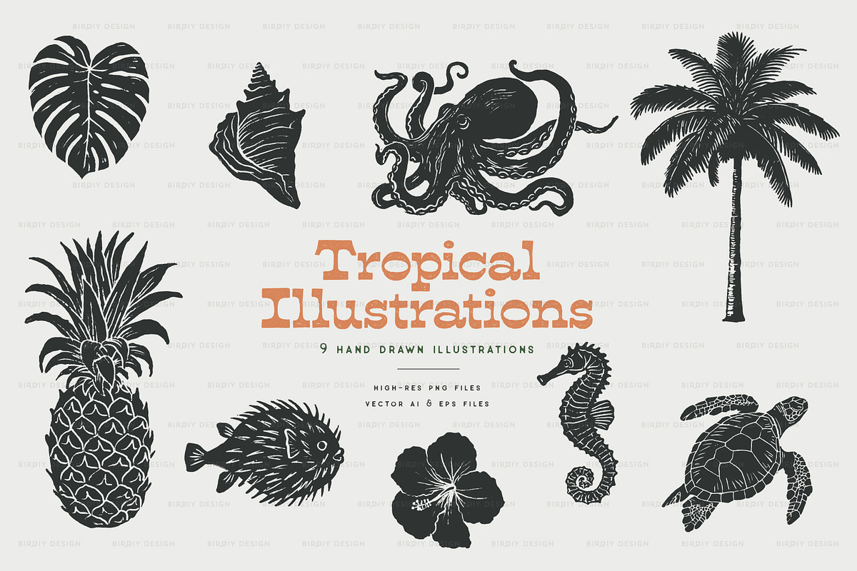 Vintage Tropical Illustrations, an Object Graphic by BirDIY Design (Photo 1 of 8)