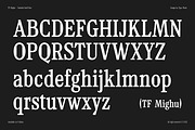 TF Mighu - Modern Slab Serif, a Serif Font by Type Flock (Thumbnail 3 of 15)