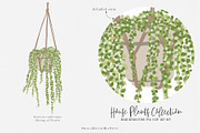 House Plants Collection, a Graphic by SmallHouseBigPony (Thumbnail 13 of 18)