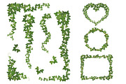 Ivy vector set for floral design, a Decorative Illustration by belander (Thumbnail 2 of 4)