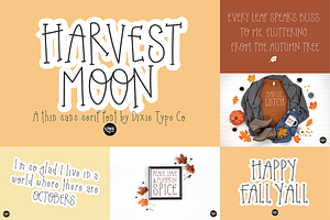 AUTUMN BREEZE Fall Font Bundle