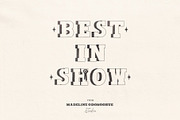 Show Pony Hand Drawn Western Font, a Slab Serif Font by Madeline ODonoghue Design (Thumbnail 9 of 10)