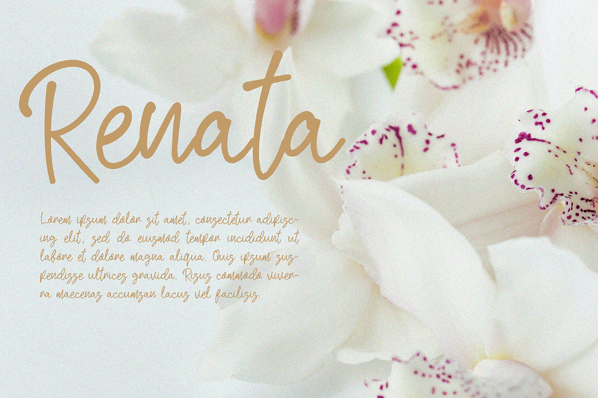 Renatta - Elegant Script Font, a Script Font by NTC Graphic (Photo 6 of 9)