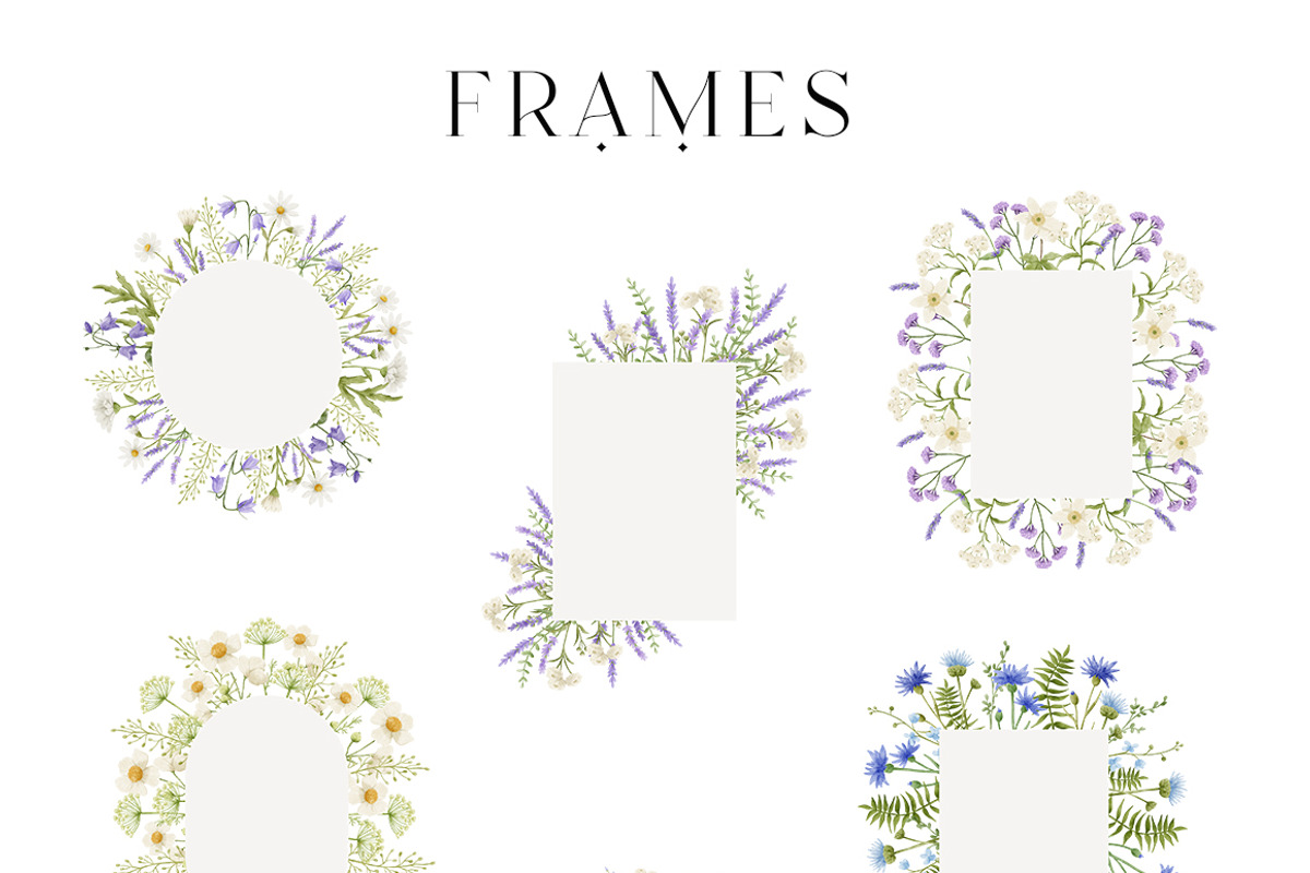 Watercolor Summer Wildflowers, an Illustration by polikarpovaart (Photo 9 of 16)