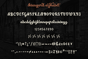 Avangard, a Script Font by Larin Type Co. (Thumbnail 9 of 10)