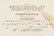 Primrose Essentials Font Duo, a Serif Font by Storytype Studio (Thumbnail 11 of 15)