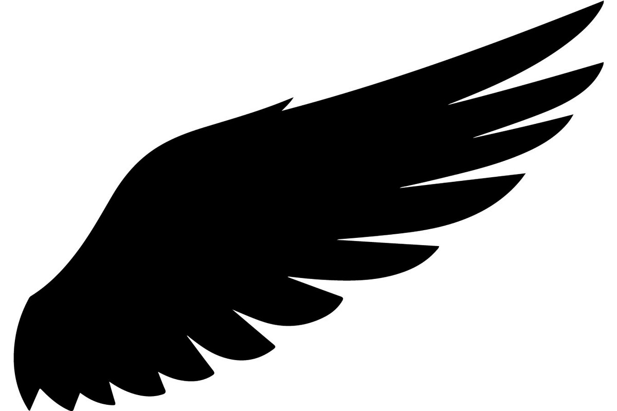 Bird Silhouettes Flying Sideways, an Animal Illustration by Designer_Momina (Photo 9 of 21)