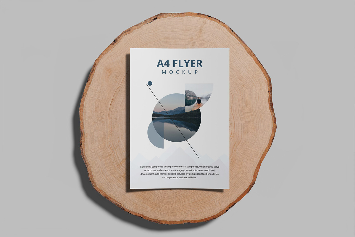 A4 Flyer Mockup, a Print Template by mahremdesign (Photo 9 of 12)