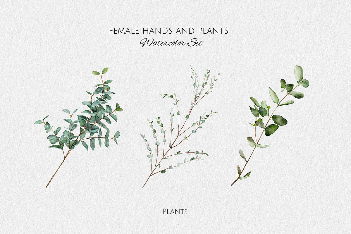 Female Hands and Plants Watercolor, a Person Illustration by Yakovleva Margarita (Photo 8 of 9)