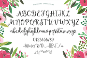 Sweet Peony, a Script Font by Emily Spadoni (Thumbnail 3 of 4)