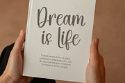 Skylife, a Script Font by FreshTypeINK (Thumbnail 8 of 8)