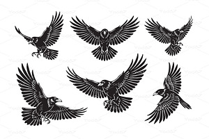 Crow or raven vector illustrations, an Animal Illustration by yod67