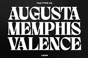 TAN - LEON, a Serif Font by TanType (Thumbnail 2 of 10)