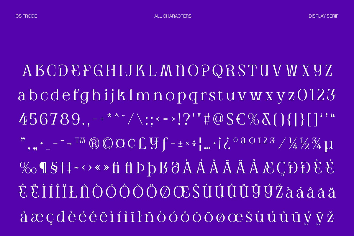 CS Frode – Modern Serif Font, a Serif Font by Craft Supply Co. (Photo 8 of 8)