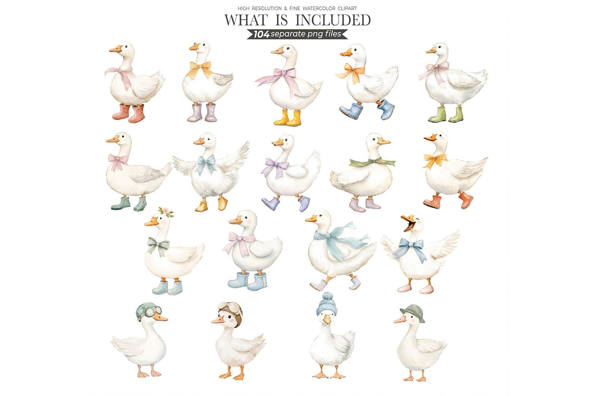 Silly Goose Spring Watercolor, an Illustration by CharmClipArt (Photo 5 of 9)