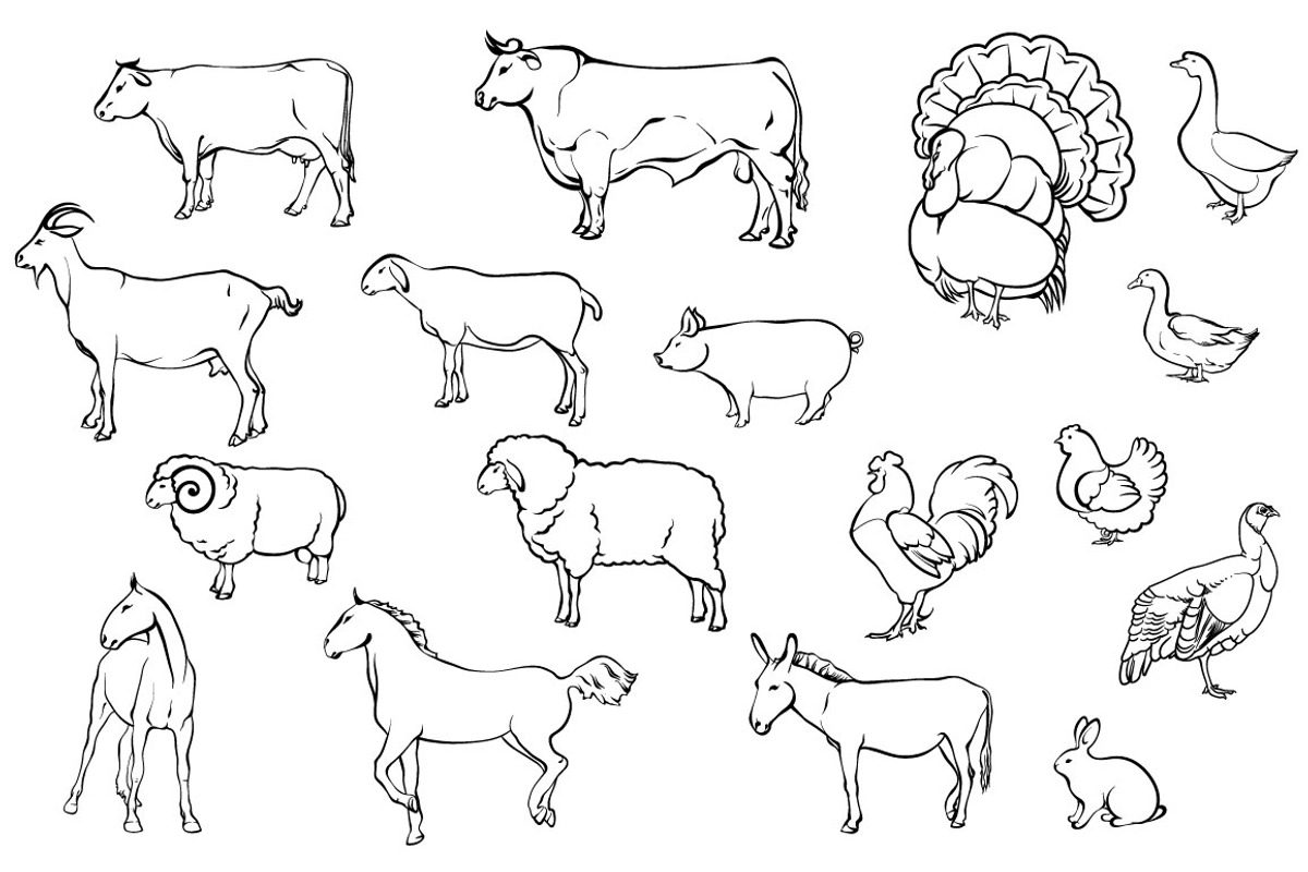 Farm animals, an Object Graphic by ArtOwl (Photo 3 of 8)
