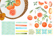 Watercolor Oranges, an Illustration by JennyColorArt (Thumbnail 9 of 13)