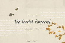 The Scarlet Pimpernel Handwritten