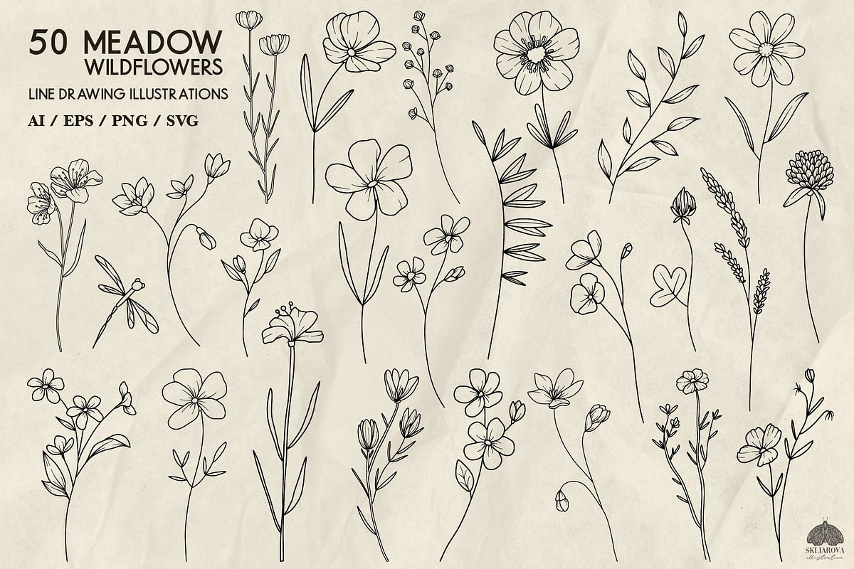 Meadow wildflowers + Procreate, a Decorative Illustration by Skliarova (Photo 2 of 3)