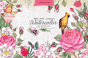 Over 120PNG watercolors, an Illustration by Alisa Mikibith Art (Thumbnail 5 of 15)