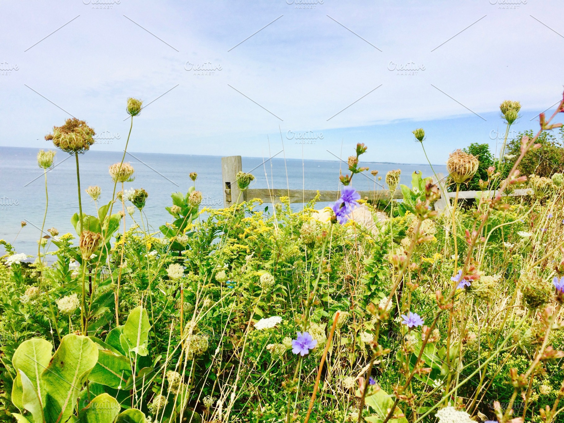 Gayhead, Martha's Vineyard, a Nature Photo by Lindsay McGrath Photos