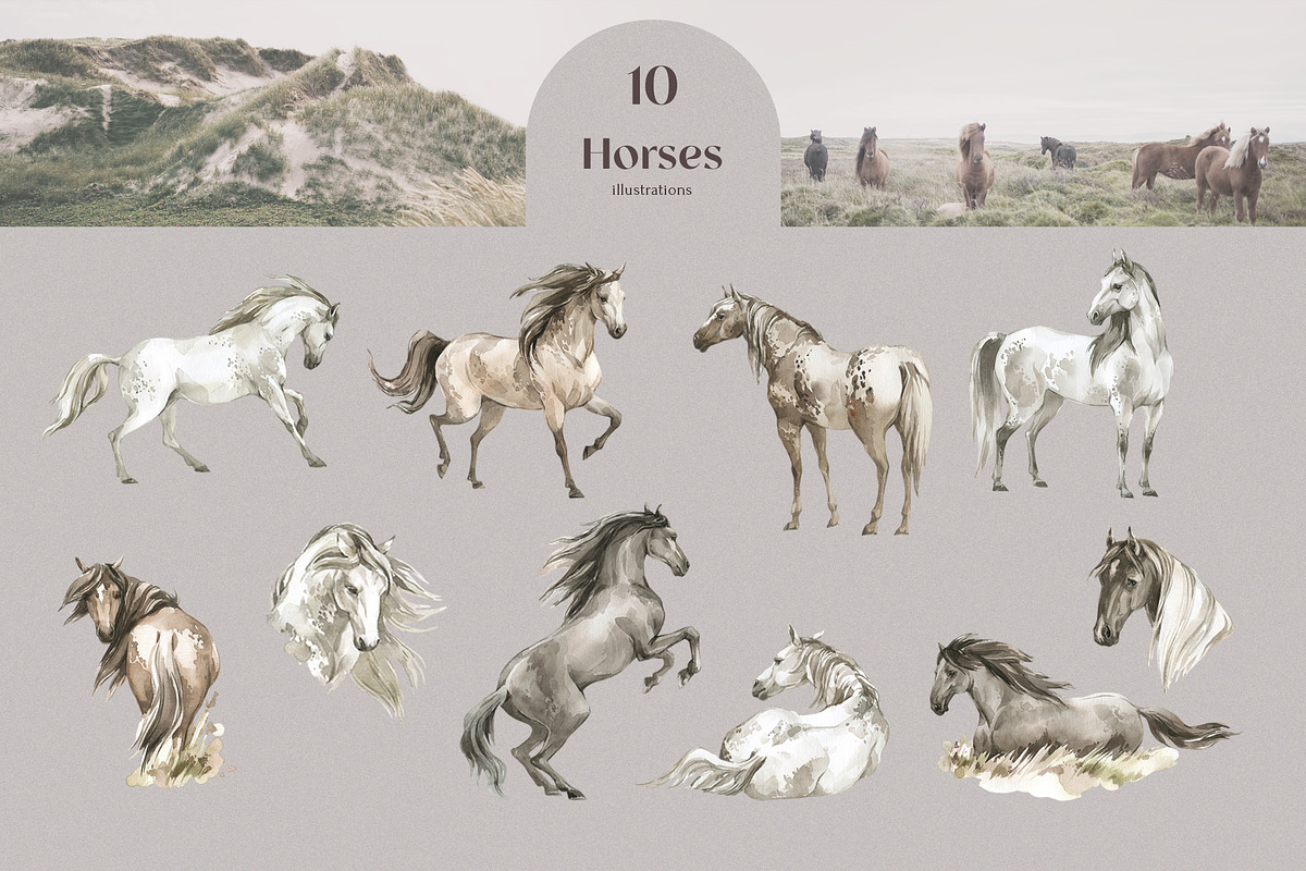 Ranch Wedding modern rustic set, an Animal Illustration by Anastezia Luneva (Photo 2 of 10)